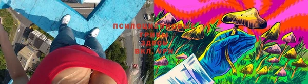COCAINE Белокуриха