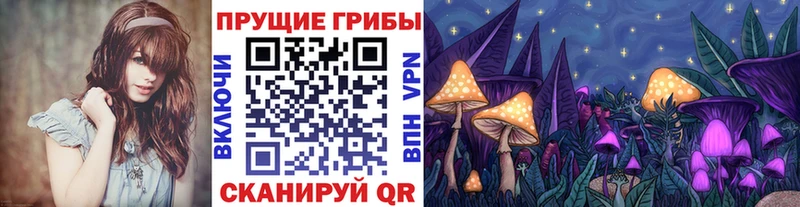Псилоцибиновые грибы Psilocybe  blacksprut ССЫЛКА  Шиханы 